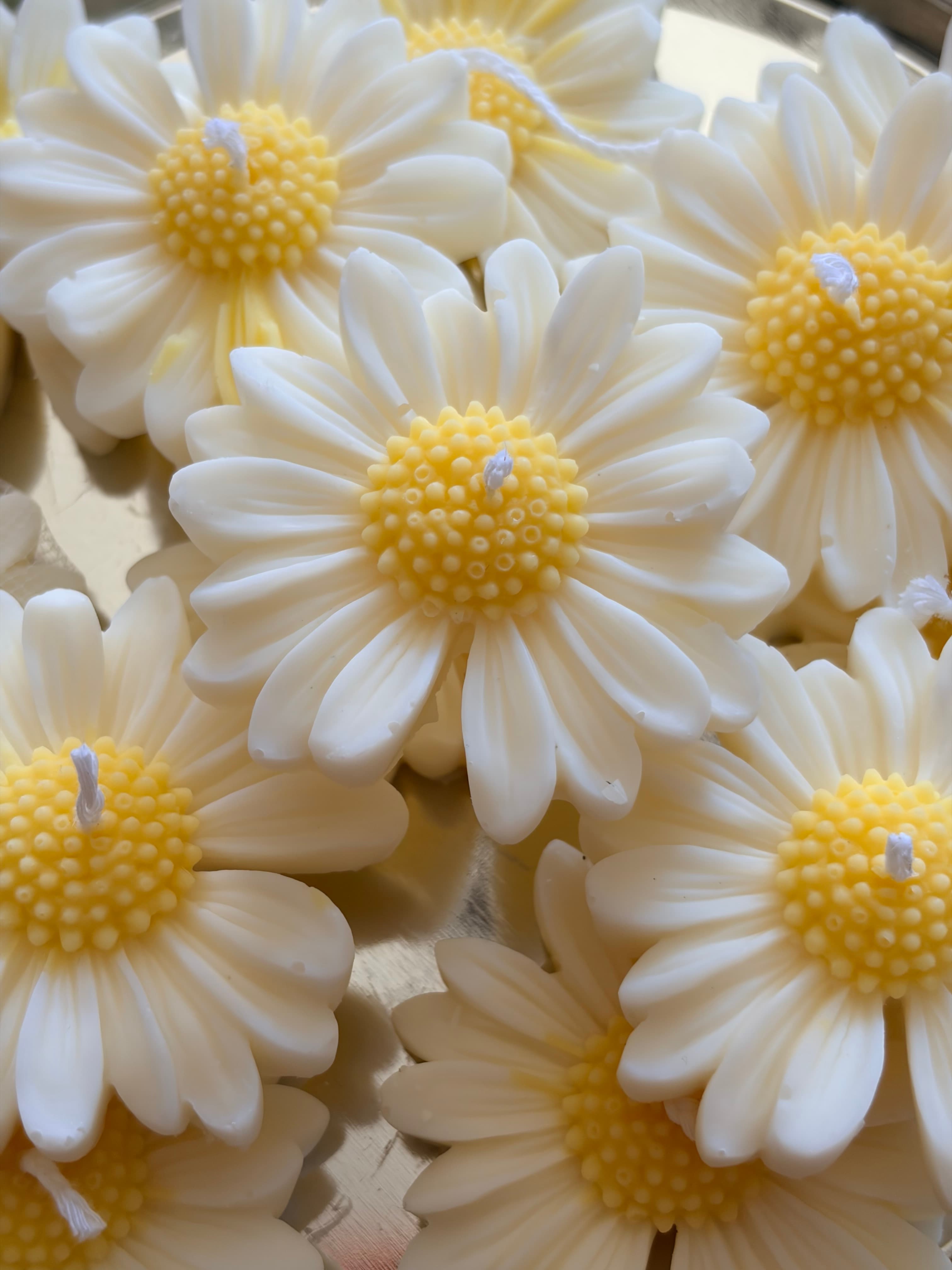 Daisy Candle